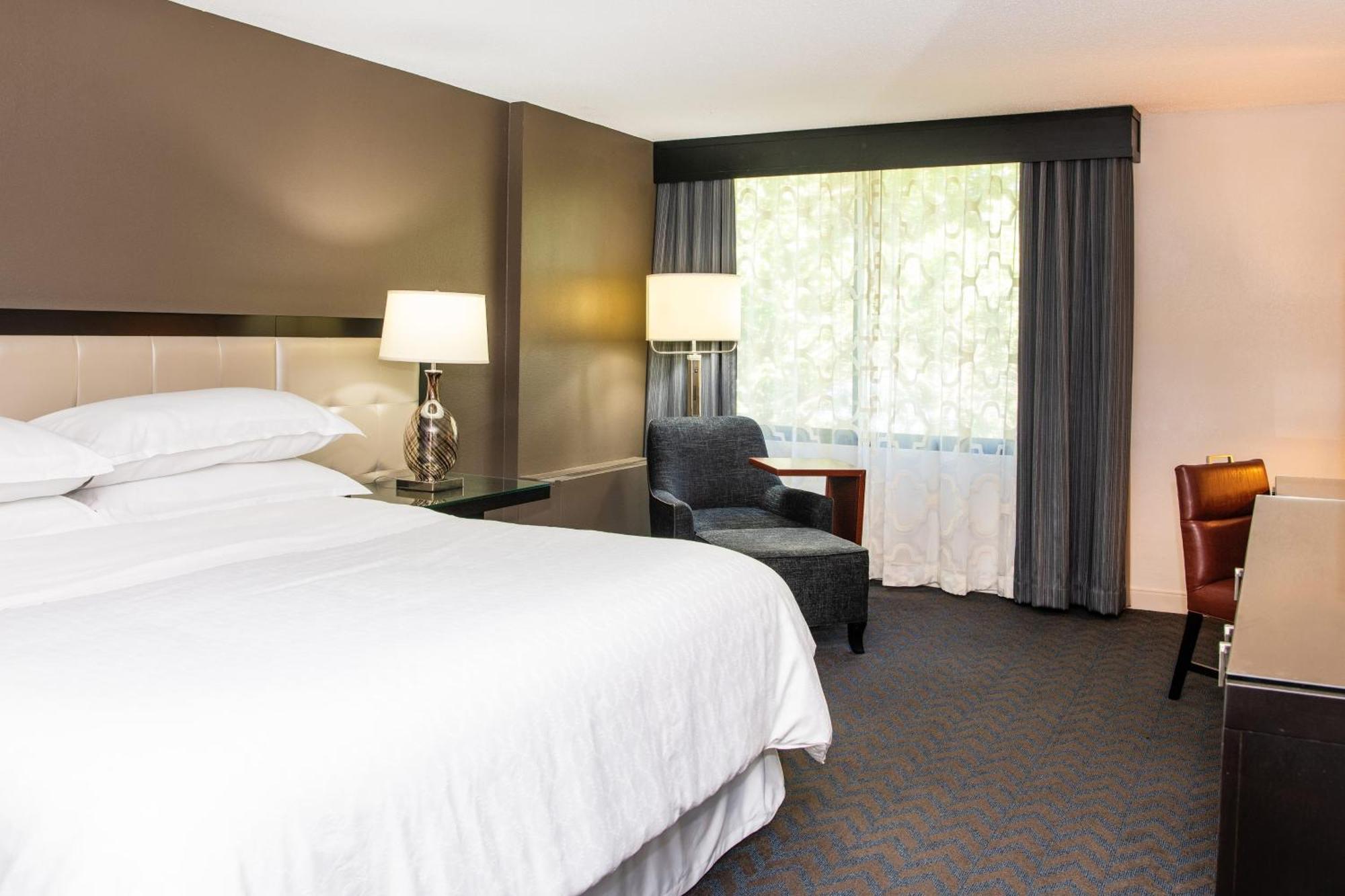 Traditional King Guest room 1 King,1634398487:JPEG